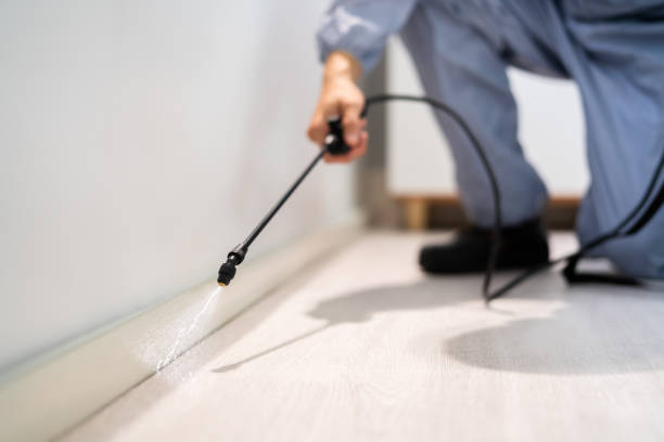 Licensed Mosquito Control service in Jennings, MO - Show Me Pest Control