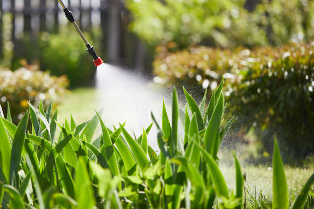 24/7 Emergency Mosquito Control experts in Jennings, MO